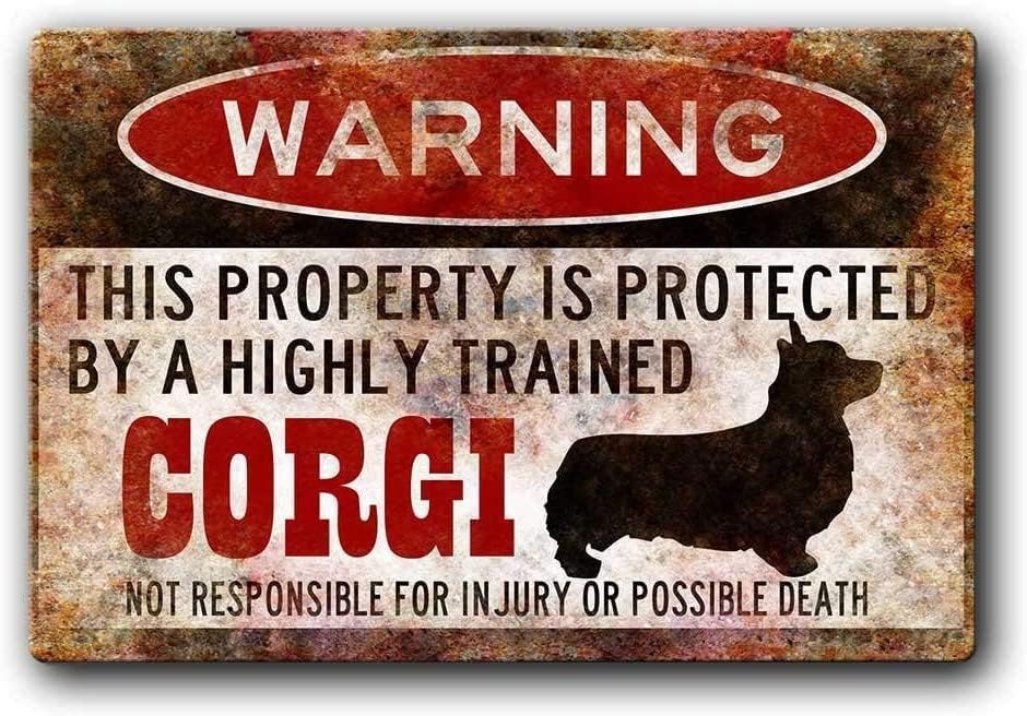 DAOLEG Warning Corgi Metal Pla - Retro Gaming Bar 리뷰 및 가격